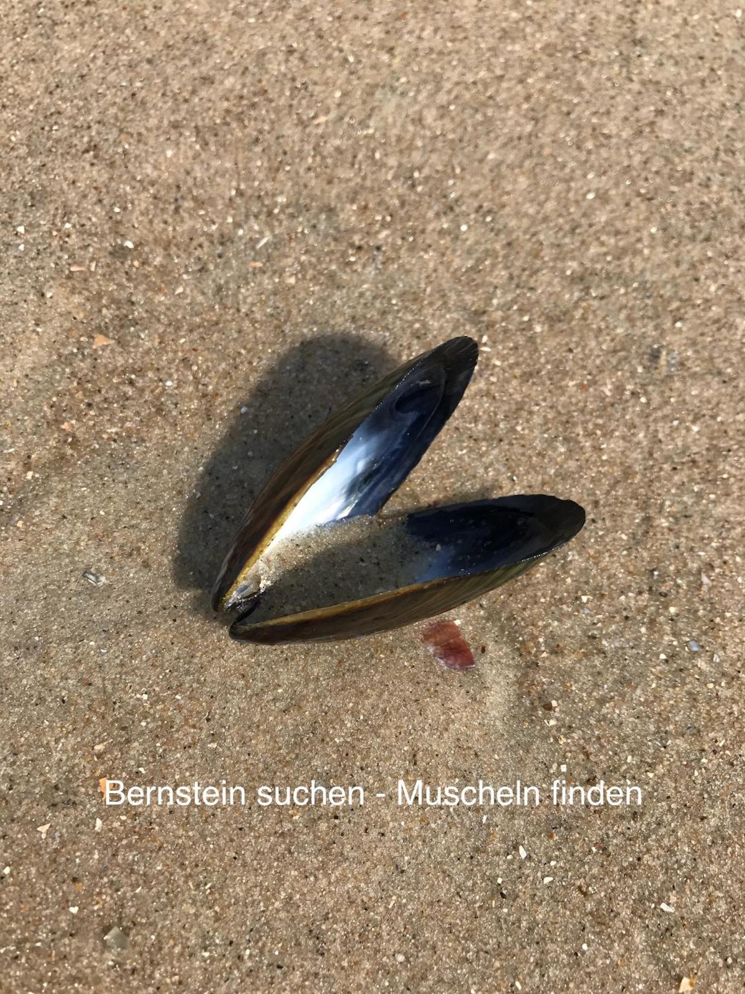 Eschen'S Allee Aurich Exterior foto